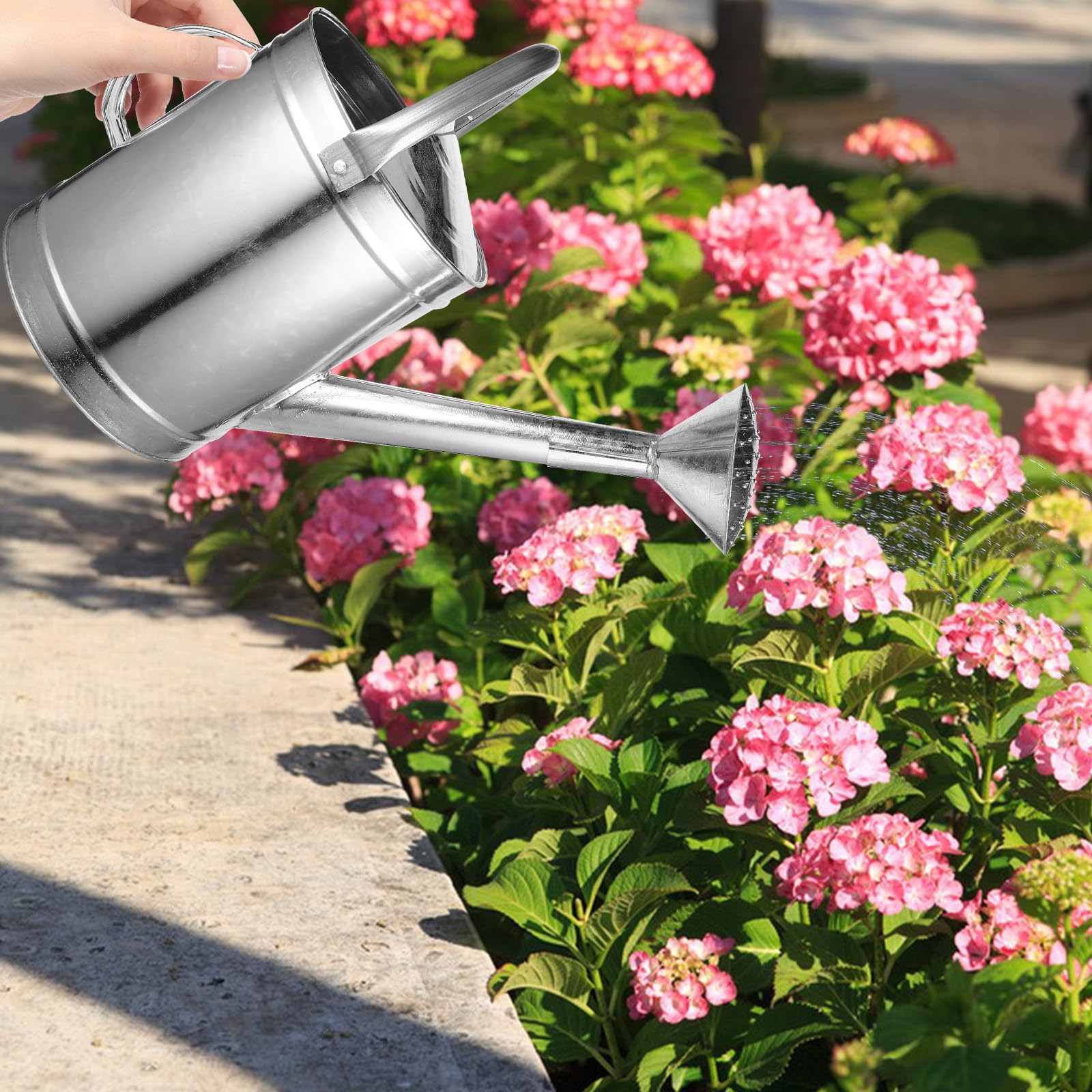 Arrosoir en Métal 5l Bec Verseur Long et Poignée Ergonomique, Arrosoir D’intérieur ’extérieur pour Plantes, pour Jardinage et Arrosage Facile Plusieurs Styles