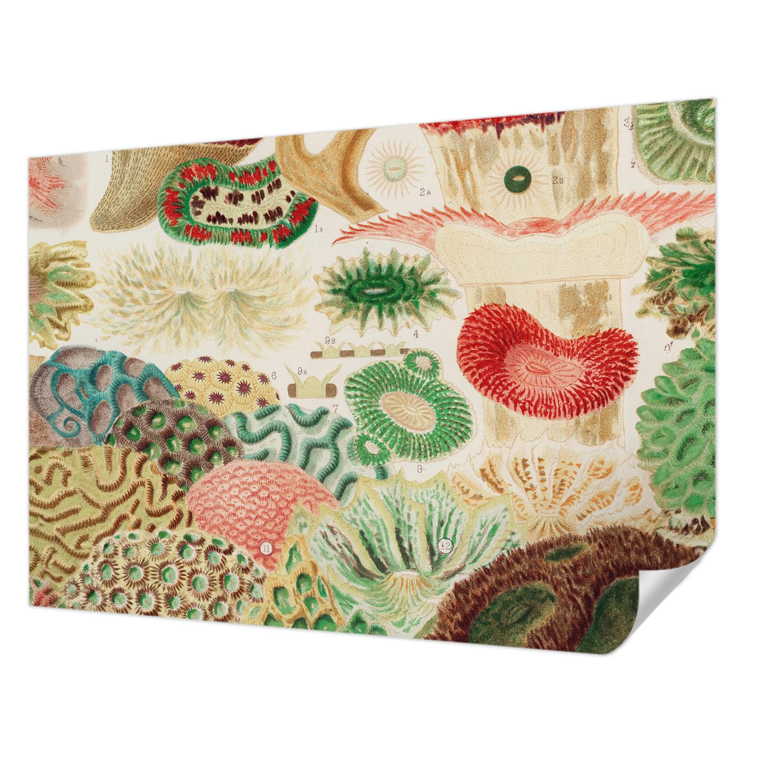 Papier Peint Adhésif Haute Qualité et panoramique résistant aux taches 208x146