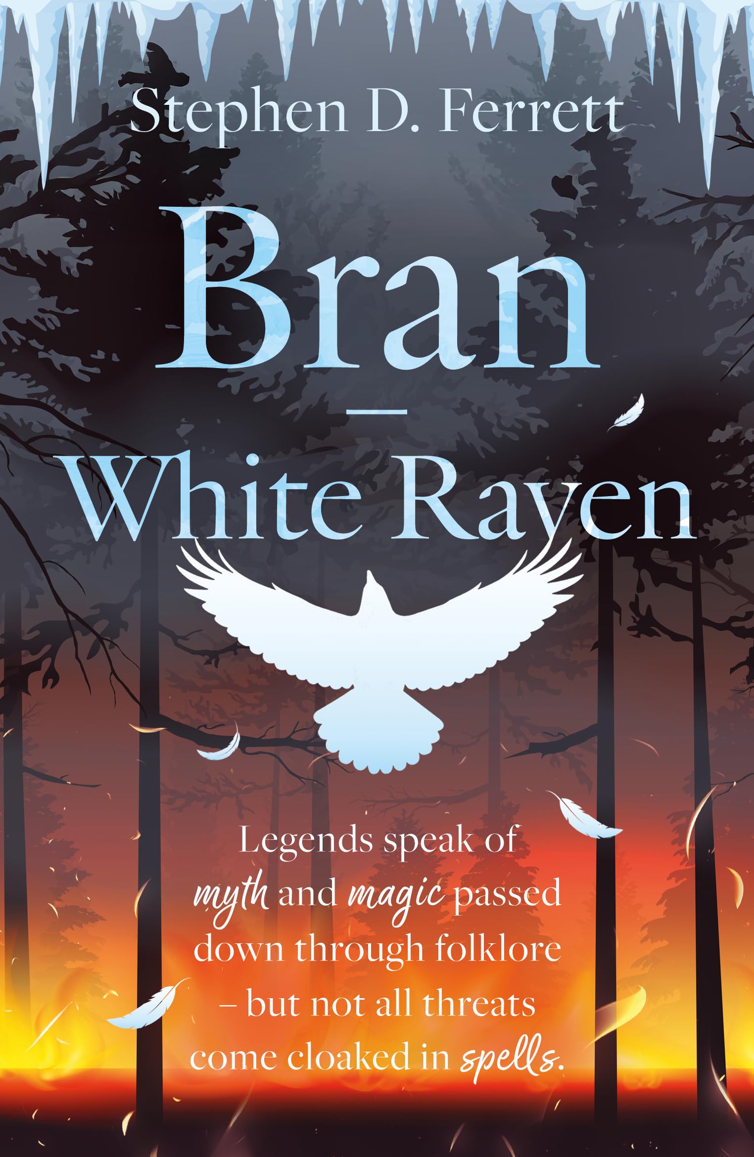 Bran – White Raven by Stephen D. Ferrett (Paperback Book)