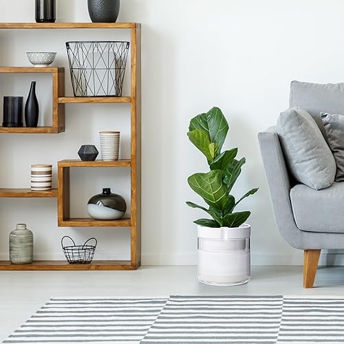 Miniatura 4 de Phoenix Vine Maceta de riego automático de 8 pulgadas, maceta de arcilla de terracota blanca con depósito de vidrio para plantas de interior,