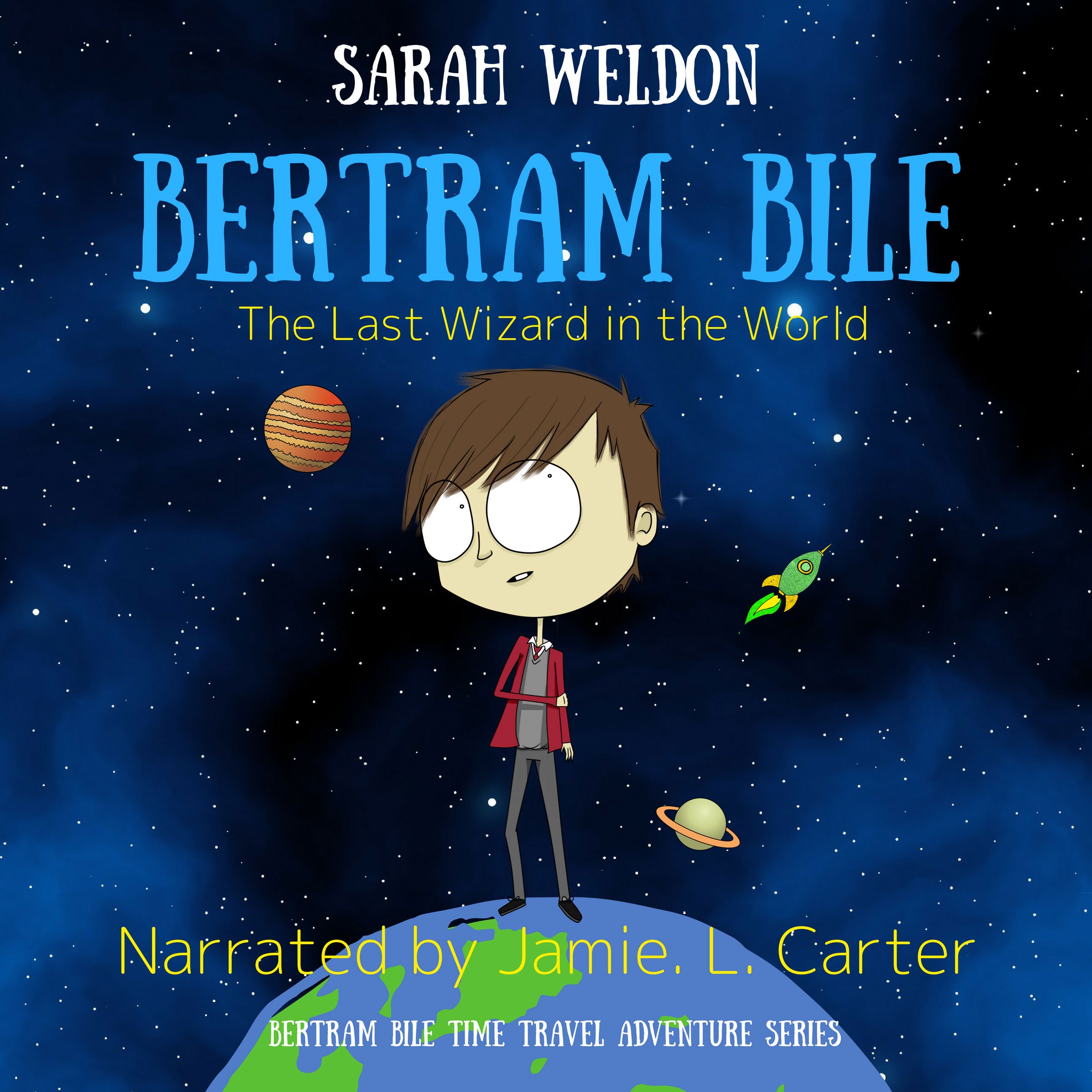 Cover art for The Last Wizard in the World