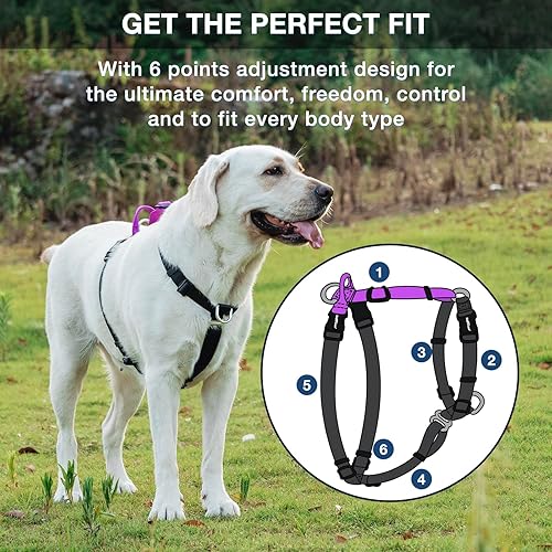 Miniatura 3 de Arnés para perro fácil de caminar y entrenar, sin tirones, arnés no restrictivo con hebilla para el cuello, correas de nailon, anillos en D de