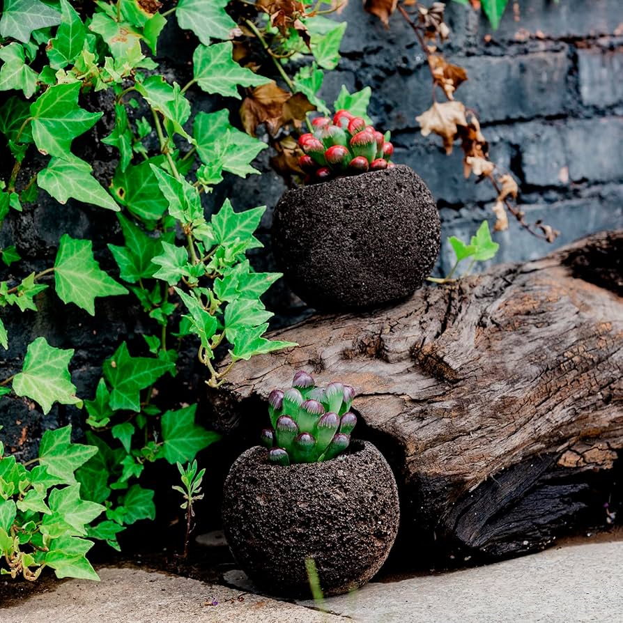 山渓鉢　石付き　溶岩石　雲山石　植木鉢　多肉植物　サボテン　一点物　盆栽 山渓鉢 石付き 溶岩石 雲山石 植木鉢 多肉植物 サボテン 一点物 盆栽