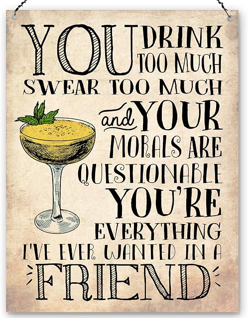 Dorothy Spring You Drink Too Much Funny Friendship Wall Quote Plaque Metal Sign Size 15x20cm