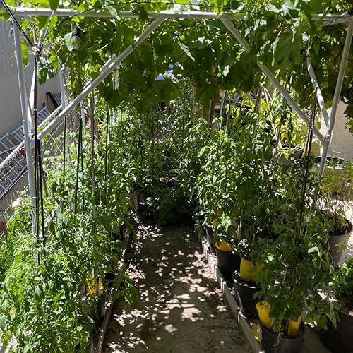 Miniatura 6 de Estacas de jardín de 60 pulgadas, estacas de acero hueco con revestimiento de plástico, estacas de tomate, paquete de 50