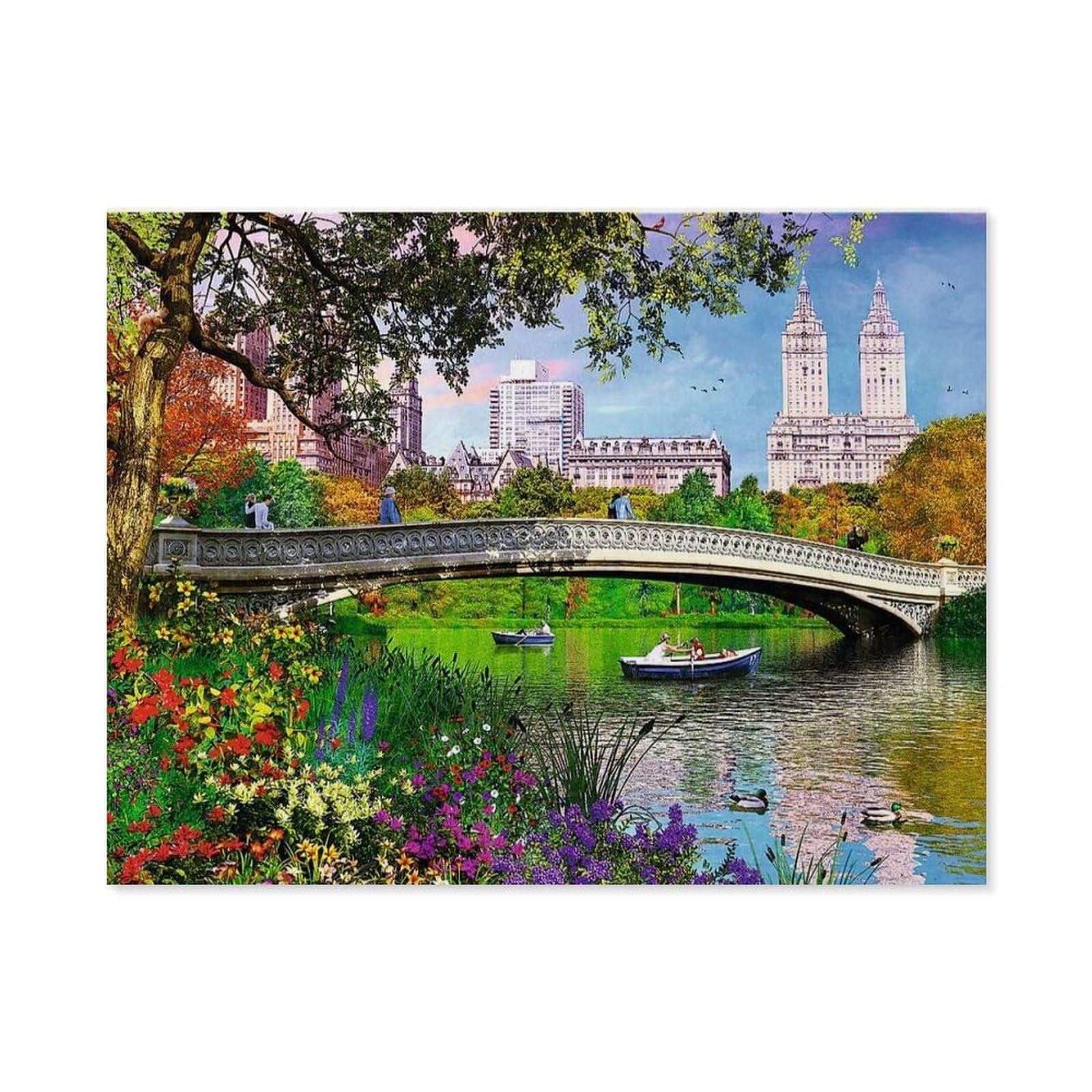GSBRSNTS DIY Paint by Numbers for Adults Canvas，Central Park, New York，DIY Oil Painting, Pictures Drawing Paintwork with Paintbrushes Decoration Gift(30x40cm-D67