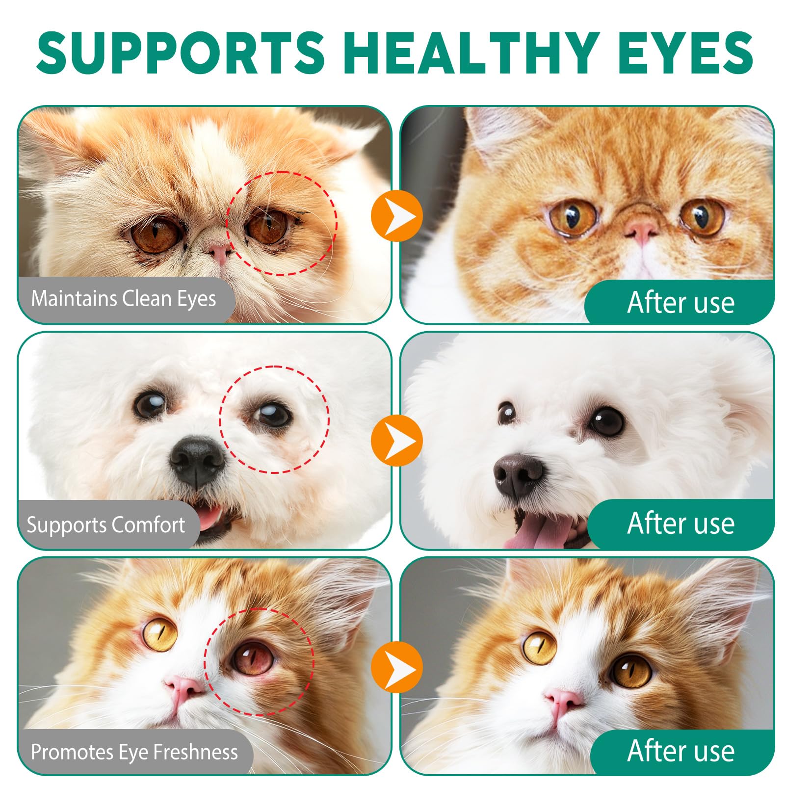 View 6