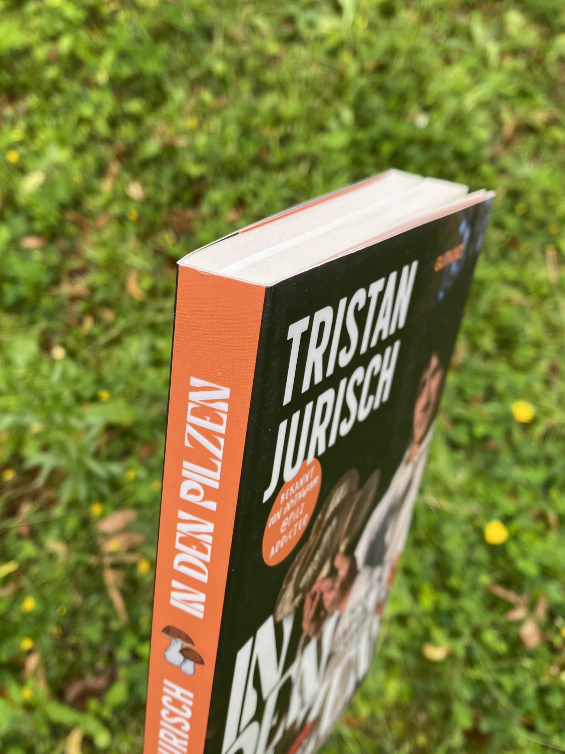In den Pilzen: Suchen, finden, sammeln | Das Pilz-Buch von Experte und Influencer @pilzaddicted
