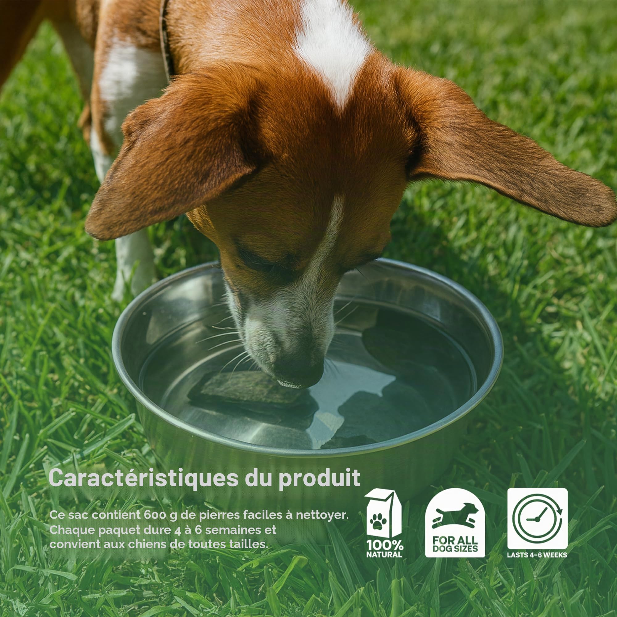 Dog Rocks Urvent Patch Patch Prévention 600g