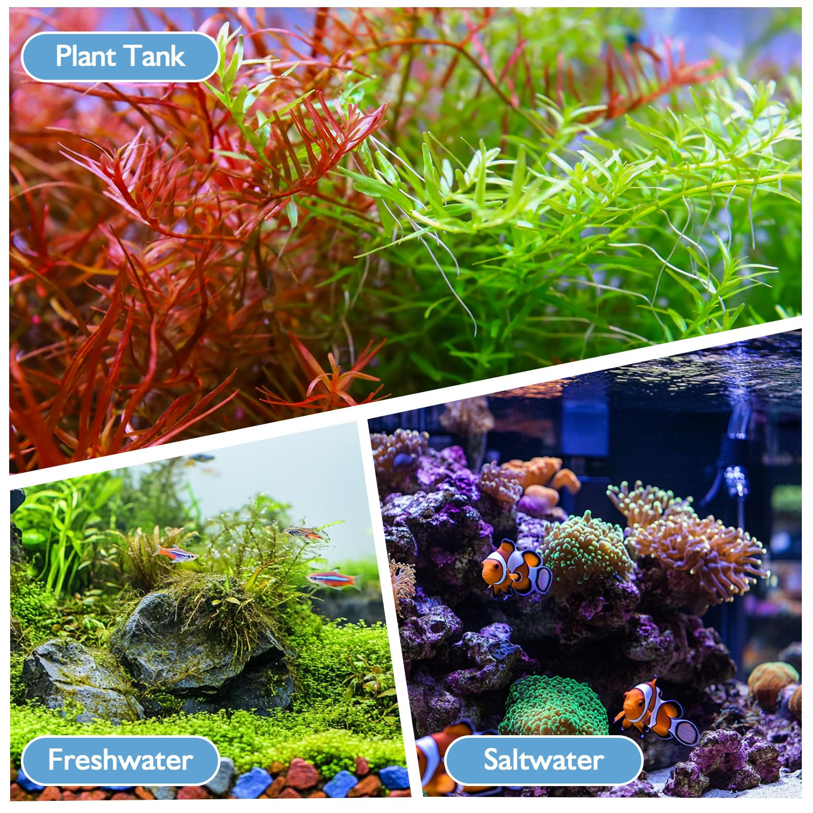 AQQA Filtro interno per acquario, regolabile con pompa dell'acqua da 600 l/h, pompa filtro per acquario, filtro in spugna da 7 W, ossigeno, filtraggio, ciclo dell'acqua, per acquari da 75 a 150 l