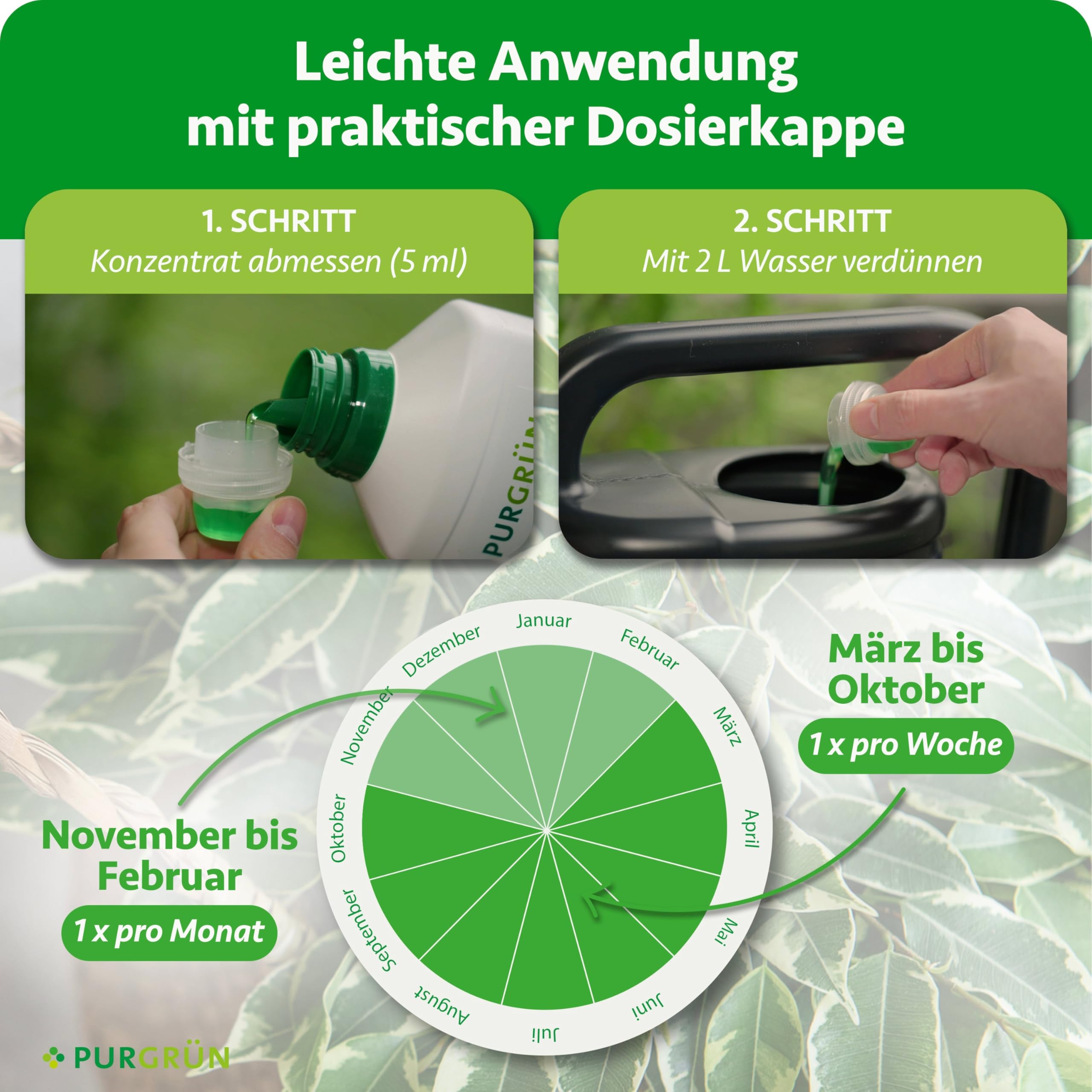 Ficus-Benjamini-Dünger 1 Liter – Stickstoff und Guano für gesundes Wachstum – Spurennährstoffe für eine lebendige Blattfärbung – Ergiebiges Konzentrat für ca. 400 Liter Gießwasser