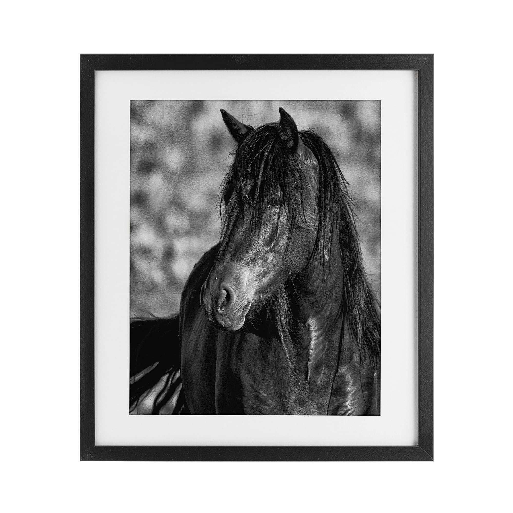 Stupell Industries 'Beauty In Black', Framed Print Under Glass, Black, 13 x 16 Inches, Easy to Hang and Sturdy, Made in USA, by Tim West