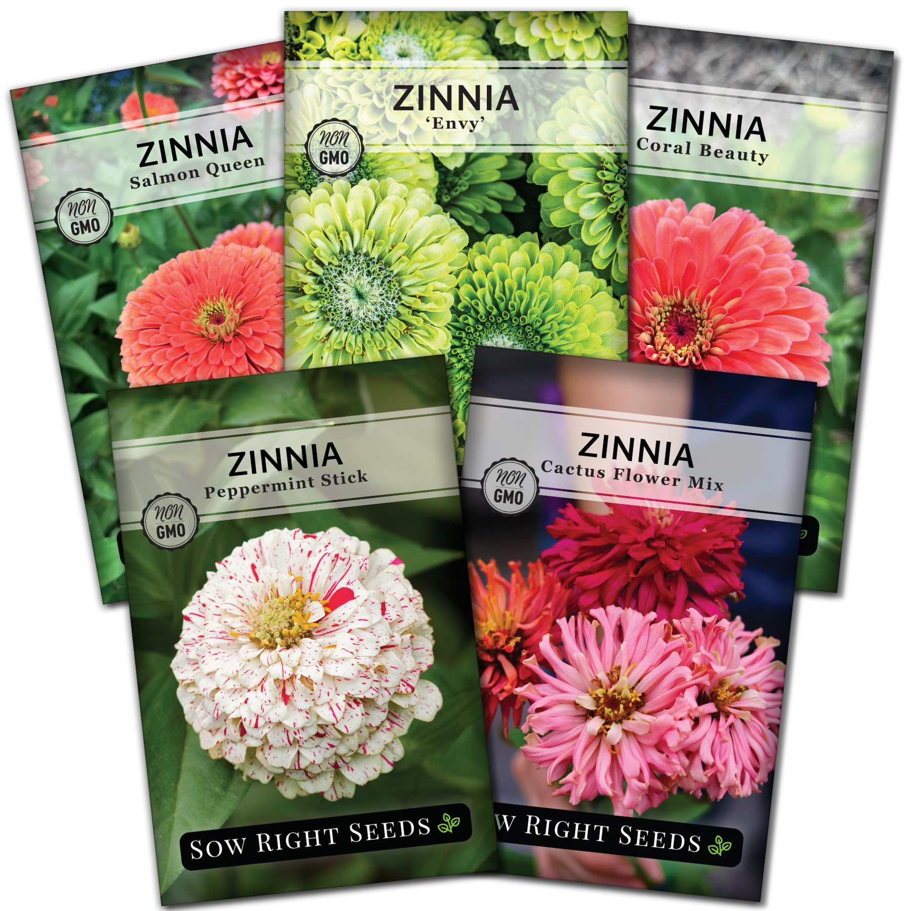 Amazon.com : Sow Right Seeds - Rare Zinnia Flower Seeds for