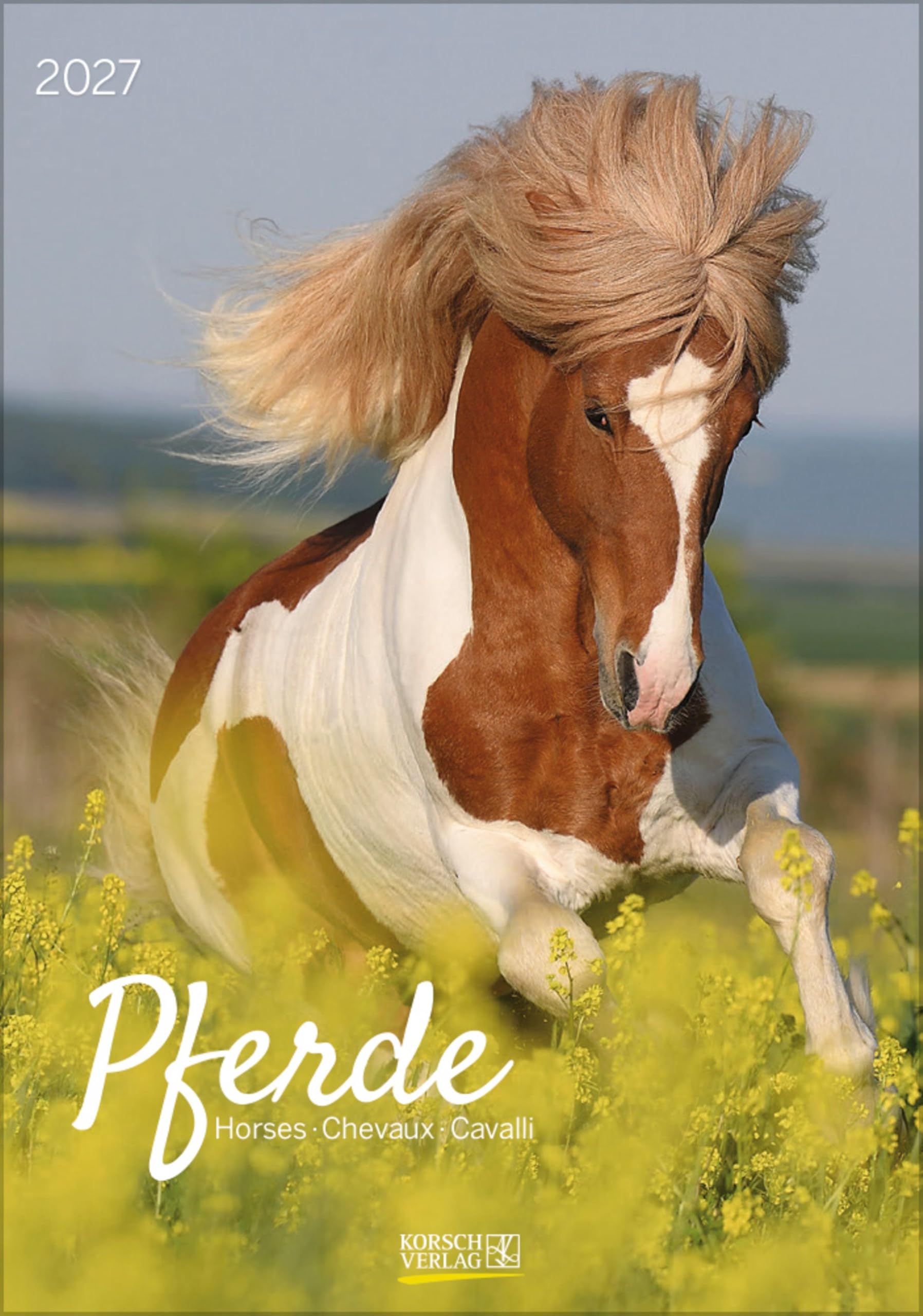 Pferde 2027: Wandkalender mit Fotos von Pferden. Format 23,5 x 33,5 cm.