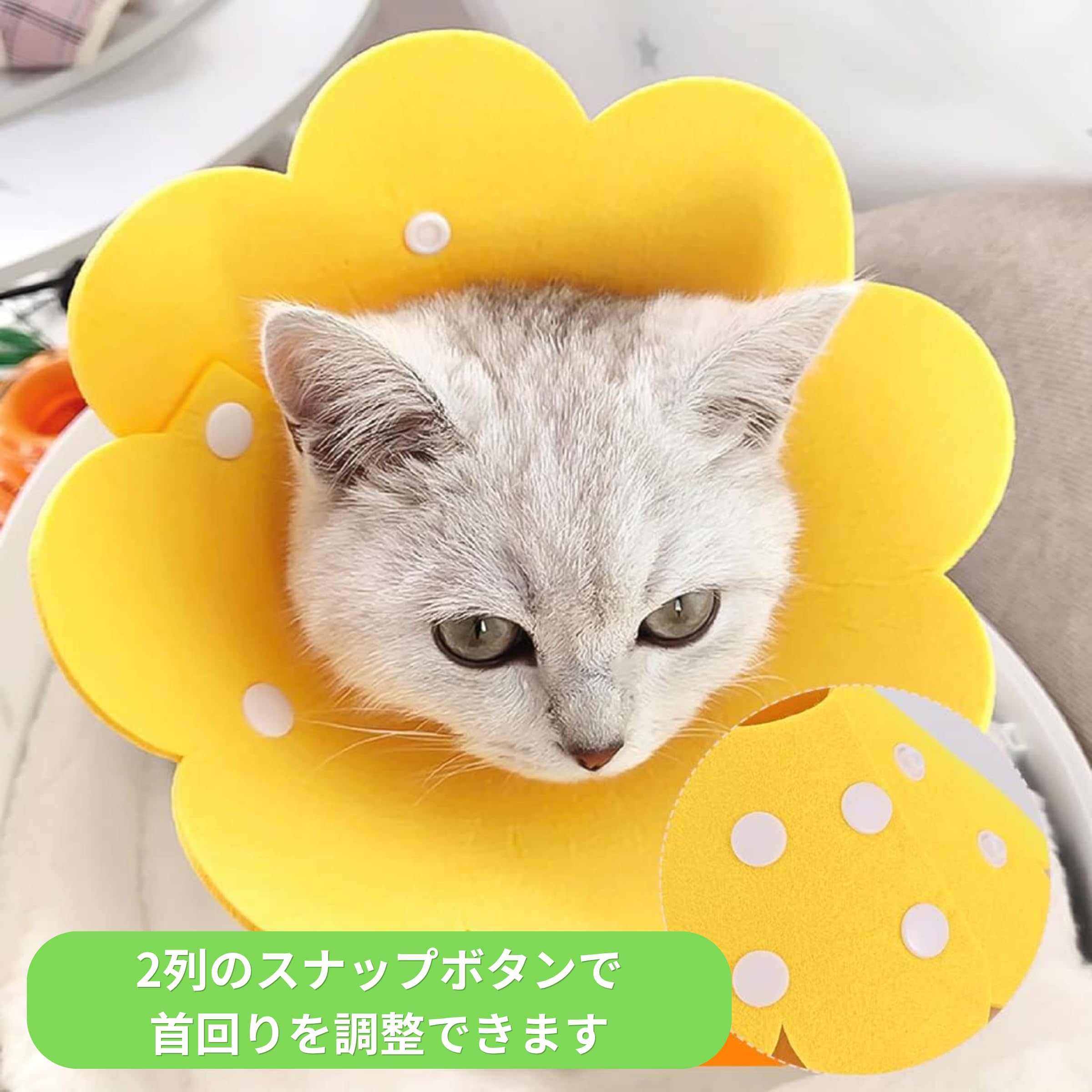 Amazon | 【獣医師推奨】Apettogo エリザベスカラー 猫 犬 ソフト 軽量