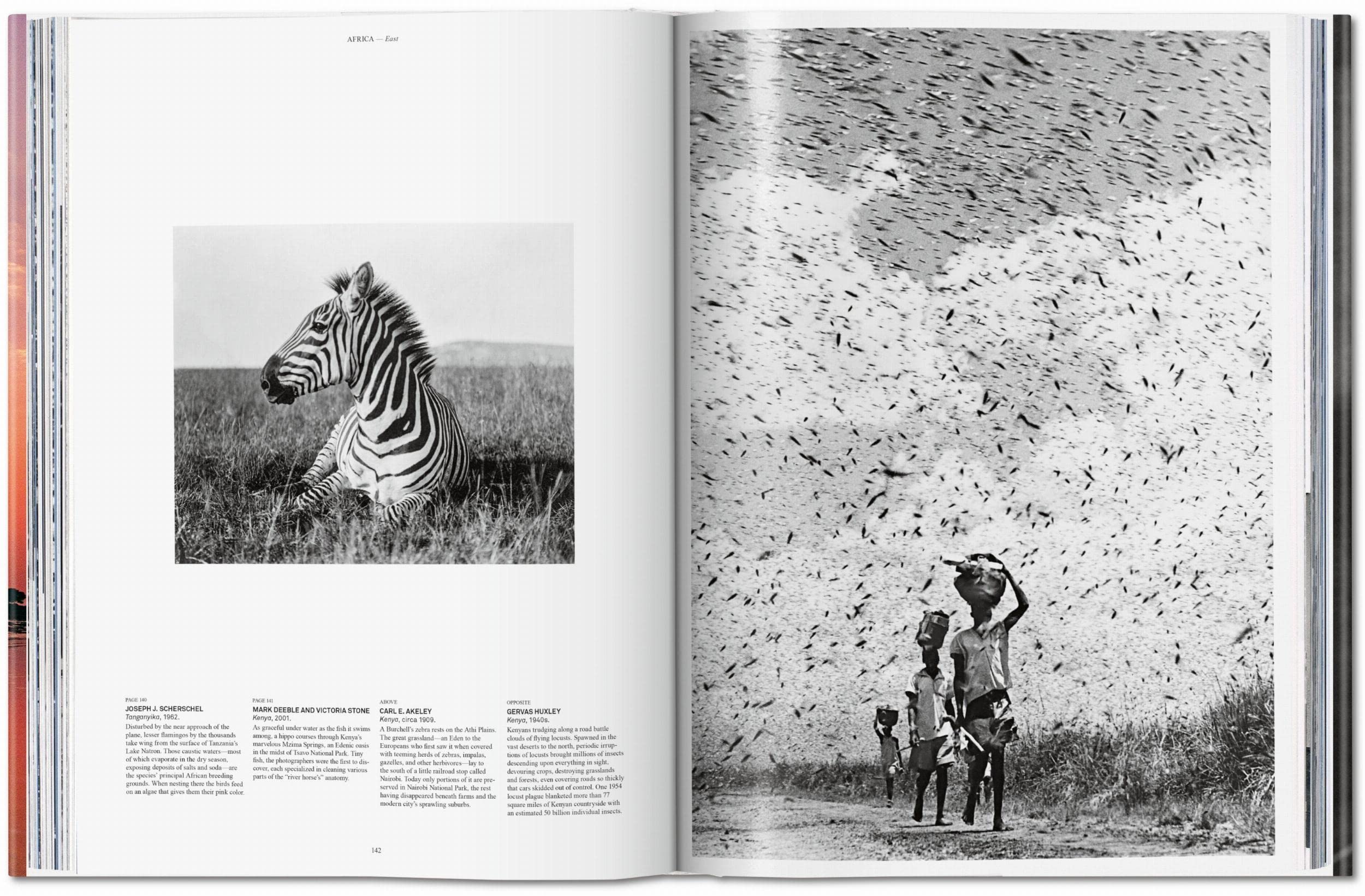 National Geographic. Le Tour du monde en 125 ans. L'Afrique