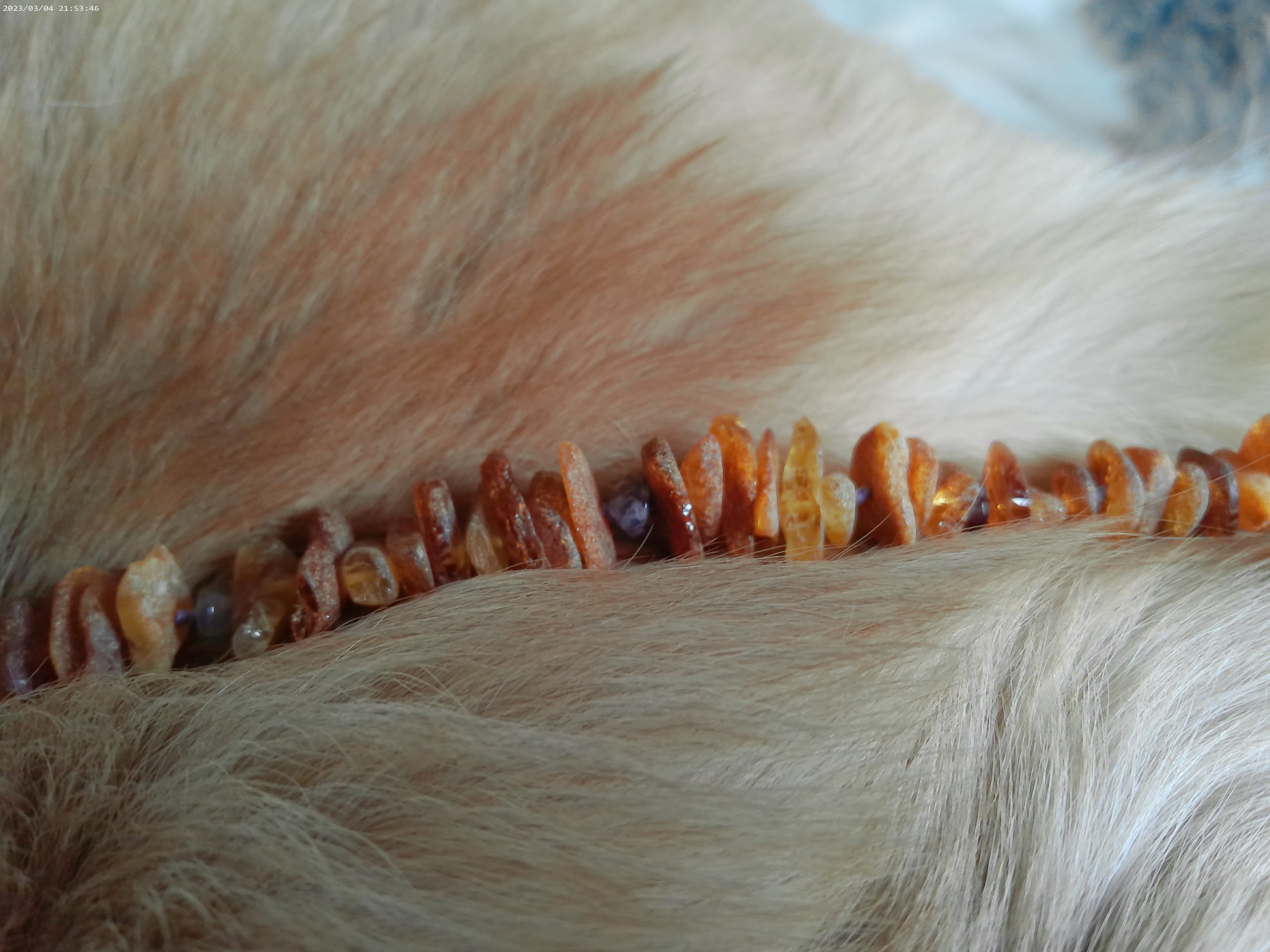 Hundekette | Bernstein mit Edelsteinen | Bernsteinkette Hund