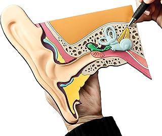 Details Soft Ear Rubber Mat Model 8 1/4