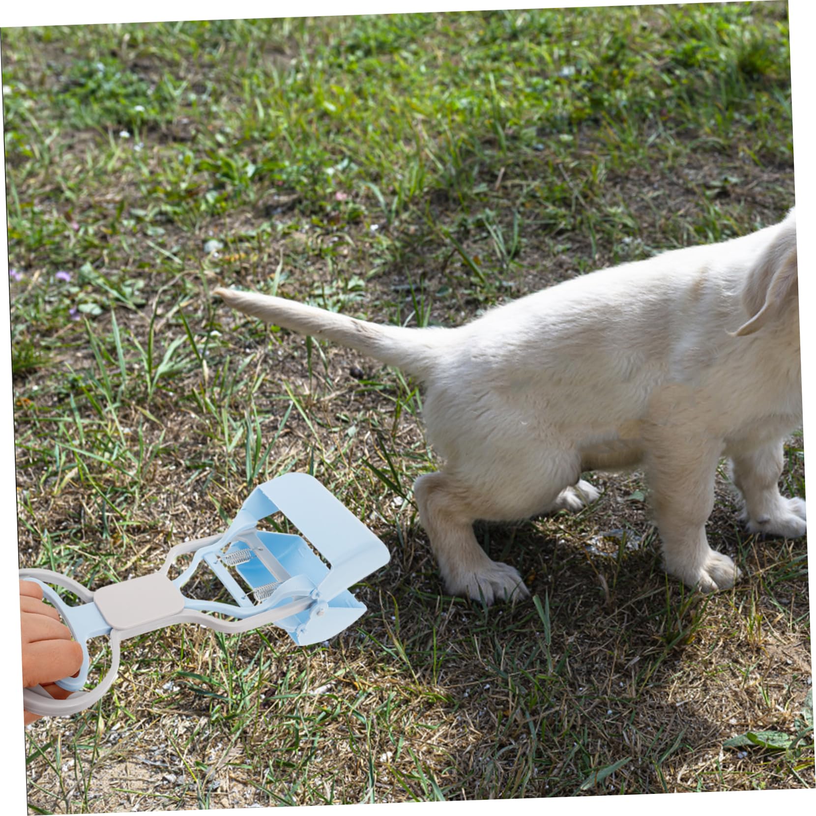 BESPORTBLE 4pezzi Raccoglitore di Feci per Cani Resistente con Manico Ergonomico Accessorio Pratico per La Pulizia Rapida Casa Design Compatto e Salvaspazio