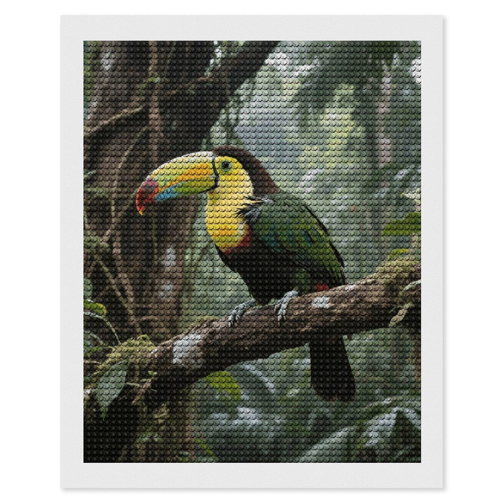 FodPand Parrot Bird 5D Diamond Painting Kits for Adults Beginners Full Drill Round Diamond Dots Pictures Gem Art Supplies for Home Wall Room Decoration DIY Craft Set Gift 16x20