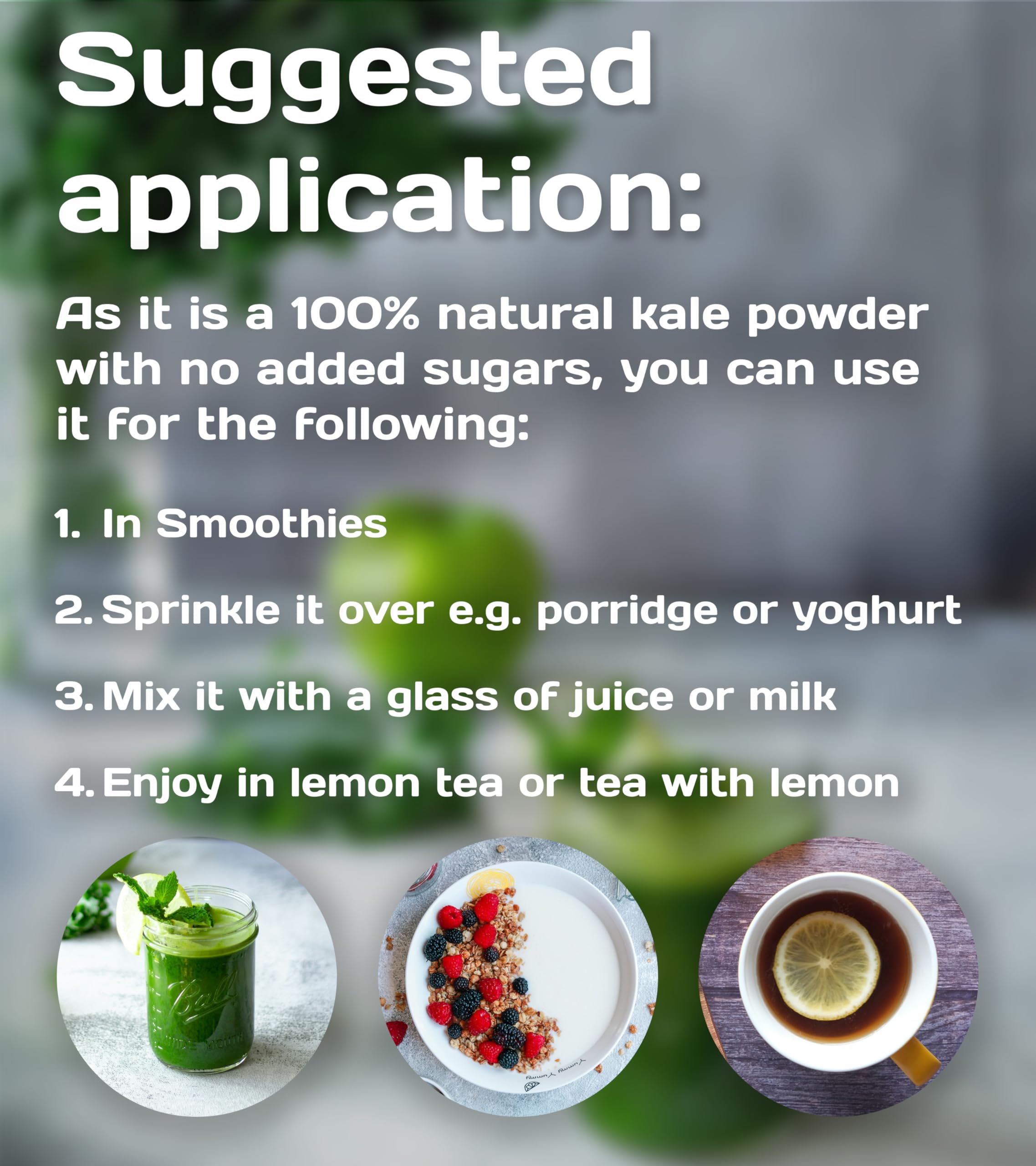 Pure Superfood Bioactive Kale Powder - 100% cavolo liofilizzato, ad alto contenuto di proteine, Kalzium, vitamina C e K. Ricco di antiossidanti, 9 aminoacidi essenziali, 25 x 2g