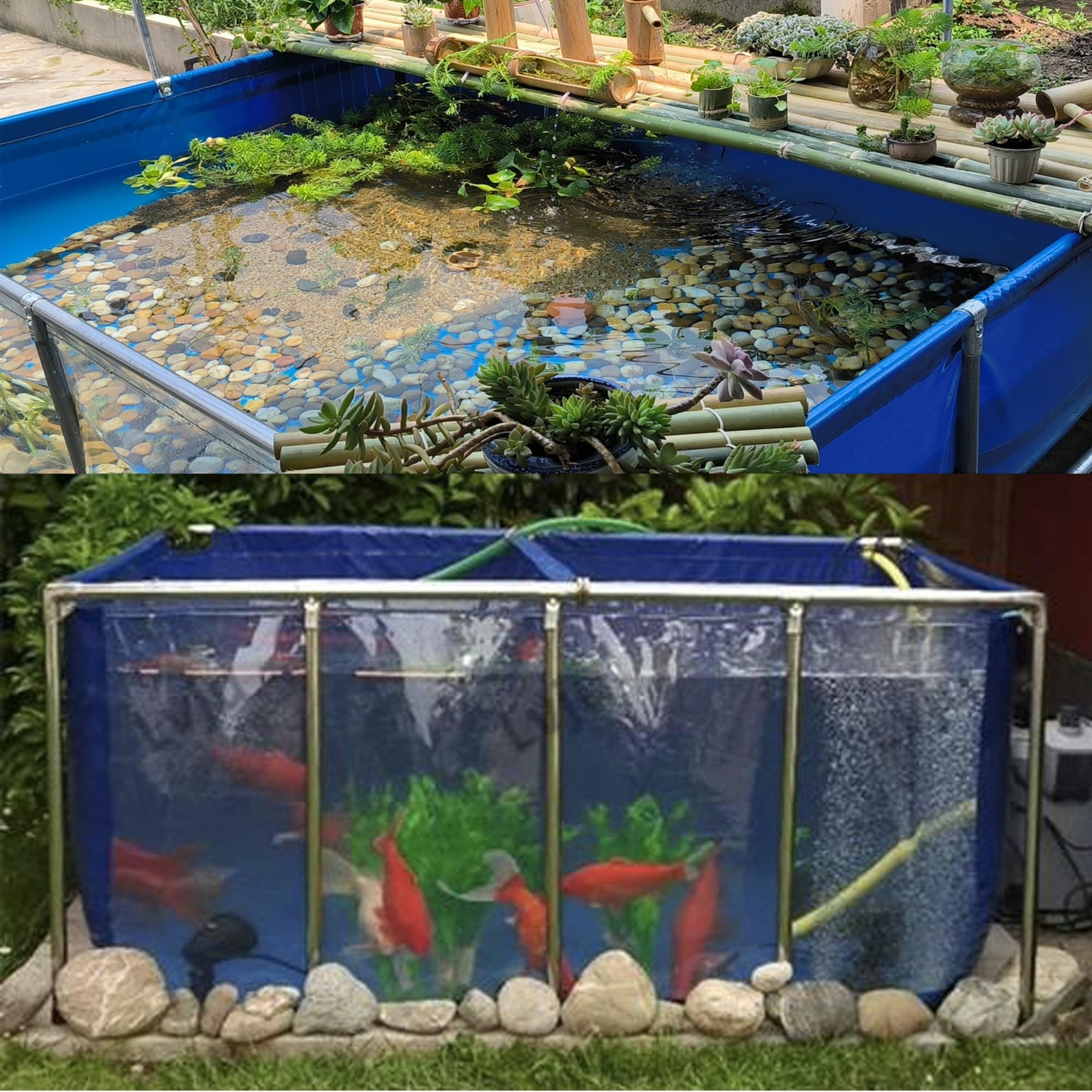 Estanque de peces sobre el suelo, gran piscina de acuicultura de lona transparente para sostener y ver temporalmente, duradera y fácil de instalar para uso en interiores y exteriores