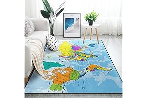 ALA Rugs for Classroom Middle School