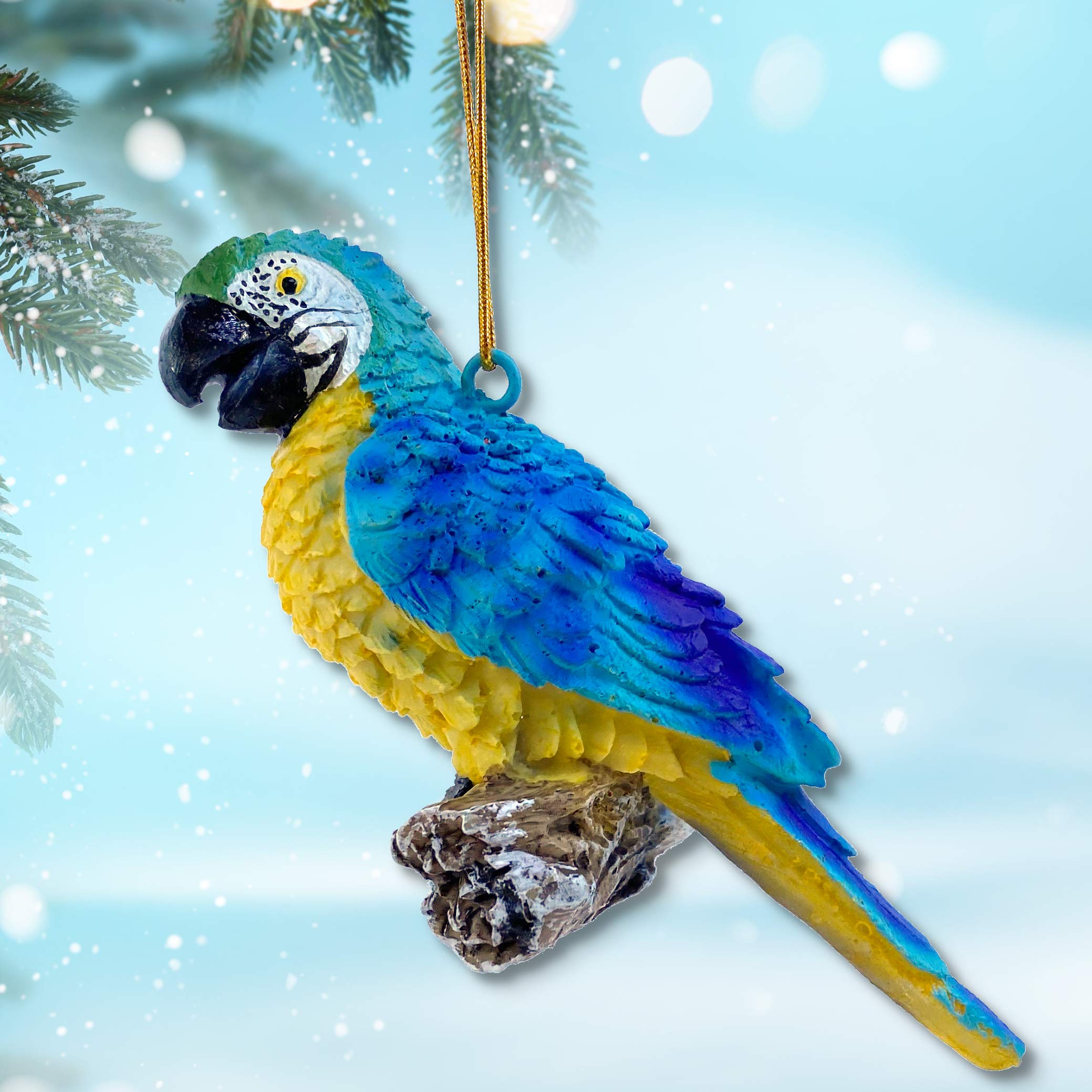 Guacamayo Azul Y Dorado Mascota