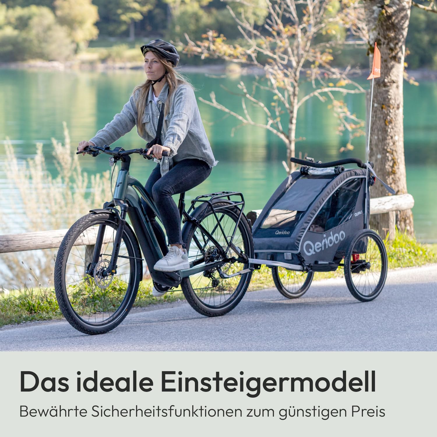 Remorques de vélo de Marque QERIDOO Modèle Kinderfahrradanhänger & Buggy QUPA 1 für 1 Kind mit Kupplung, Blattfeder-Dämpfsystem (BIS 50 kg) - Gris