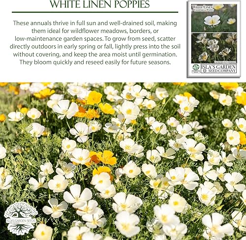Miniatura 6 de White Linen - Semillas de amapola de California para plantar, más de 1000 semillas de flores por paquete, semillas de jardín de Isla, semillas sin