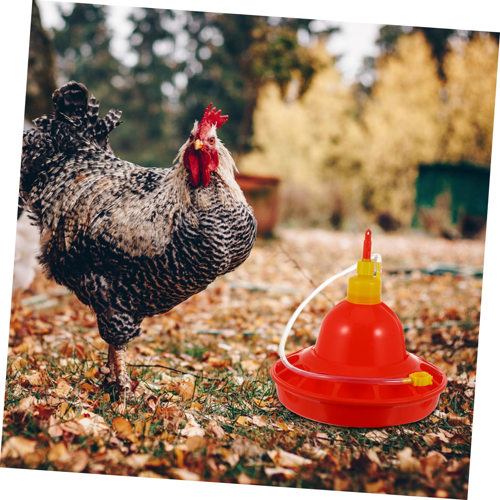 VANZACK Mangiatoia Automatica per Pollame in Plastica, Flusso D’acqua Costante e Resistente al Calore, per Galline e Uso in Allevamento All’aperto