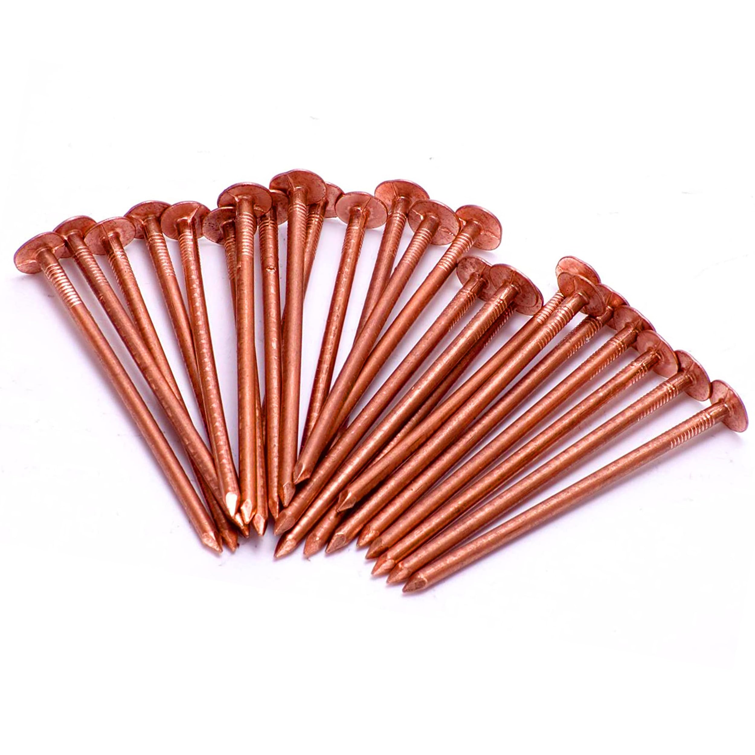 Copper Nail Tree Stump Killer | 30 x 65mm Pure Copper Nails, an Effective Eco-Friendly Solution for Tree Stump Removal and Killing Tree Roots, Also Durable Clout or Roof Nails