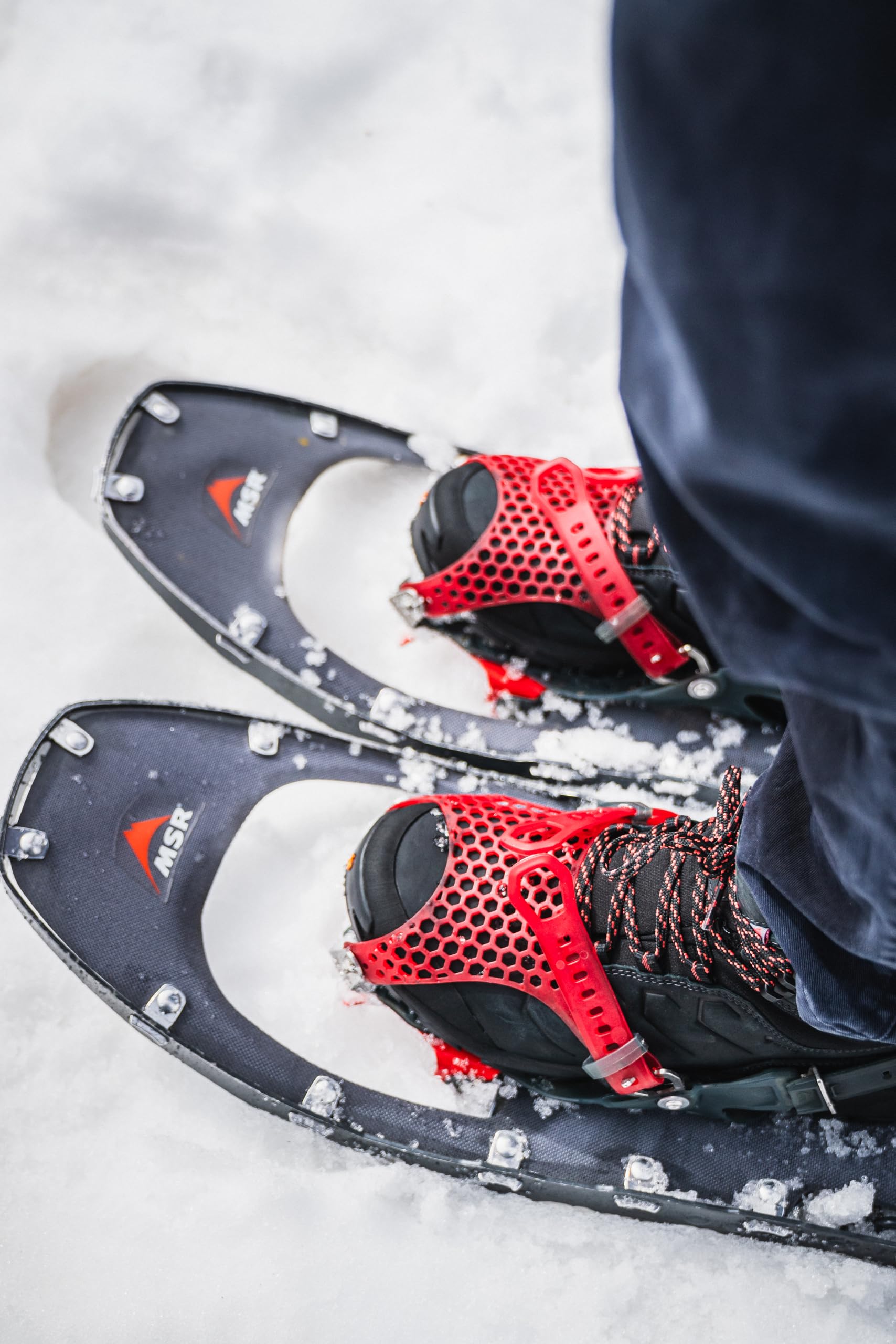 SCARPA Damskie buty trekkingowe Moraine Polar GTX Wmn
