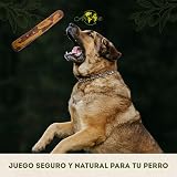 Ver la foto 6