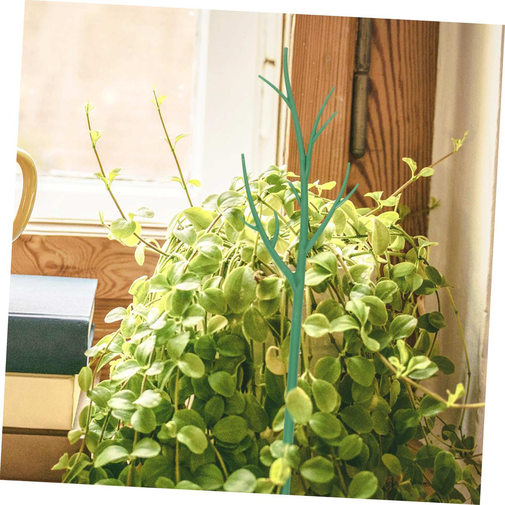 Tuteur De Plantes pour Usage Extérieur Et Intérieur 6 Pièces Treillis en Plastique pour Vignes Grimpantes Outil De Jardin pour Plantes en Pot