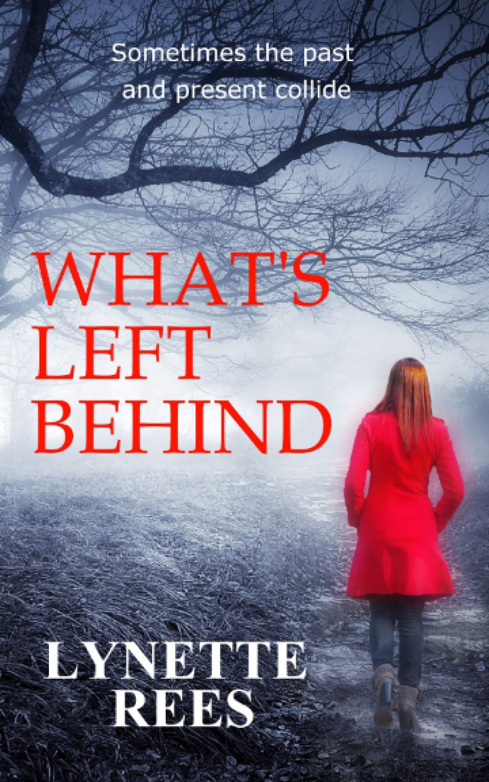 What's Left Behind: Volume 1 (Detective Ruth Carter Series)