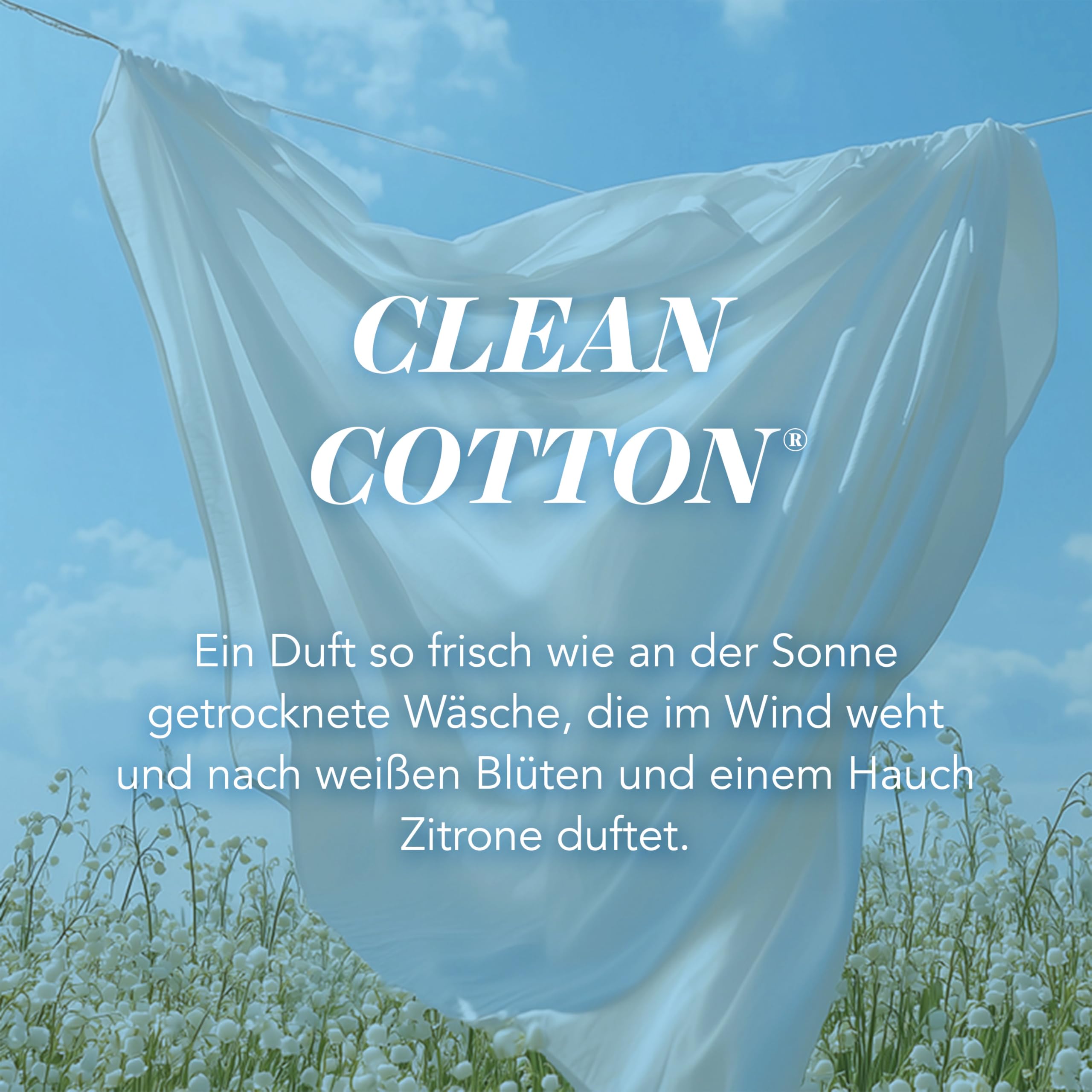 Yankee Candle Duftkerze im Glas (groß) | Clean Cotton | Kerze mit langer Brenndauer bis zu 150 Stunden