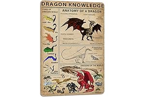 Dragon Knowledge Types of Dragon Wings Metal Sign