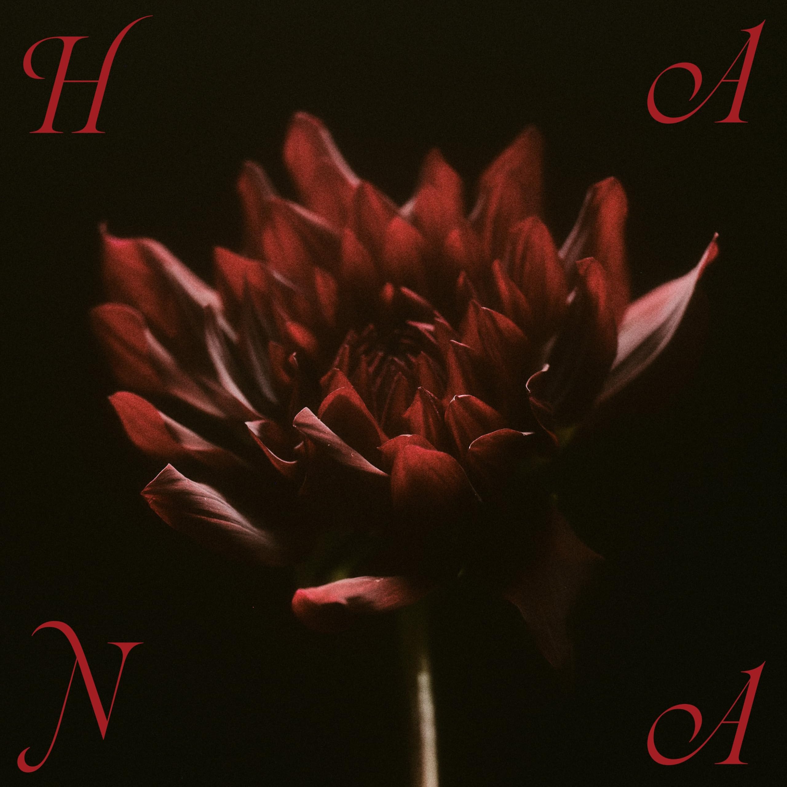 HANA 1st Album「HANA」完全生産限定盤　特典のみ Amazon.co.jp: 【限定特典あり】 HANA 1stアルバム 『HANA』(完全生産