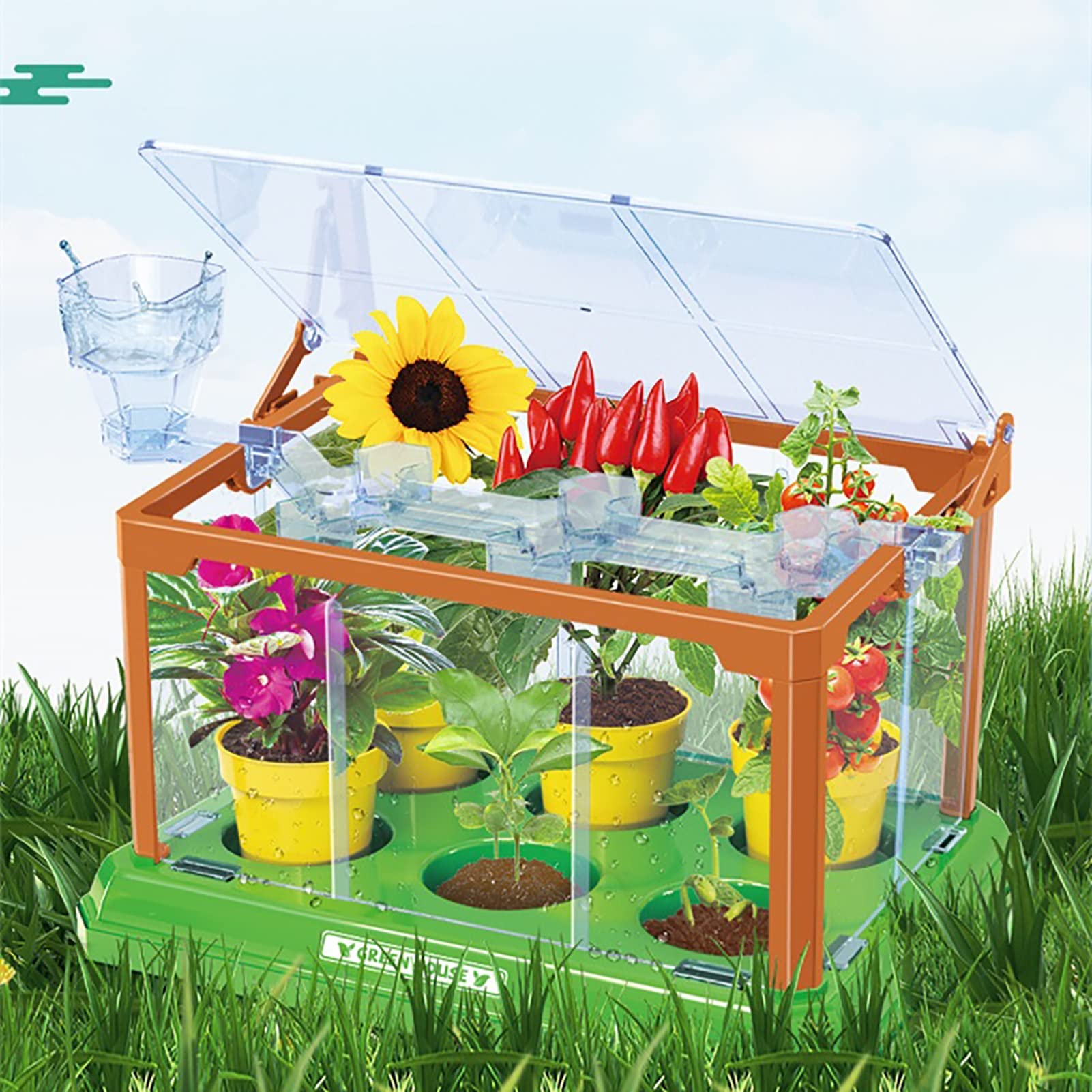 Amazon｜サンルームの植栽 - 子供の科学実験セット - 野菜の植物の花の