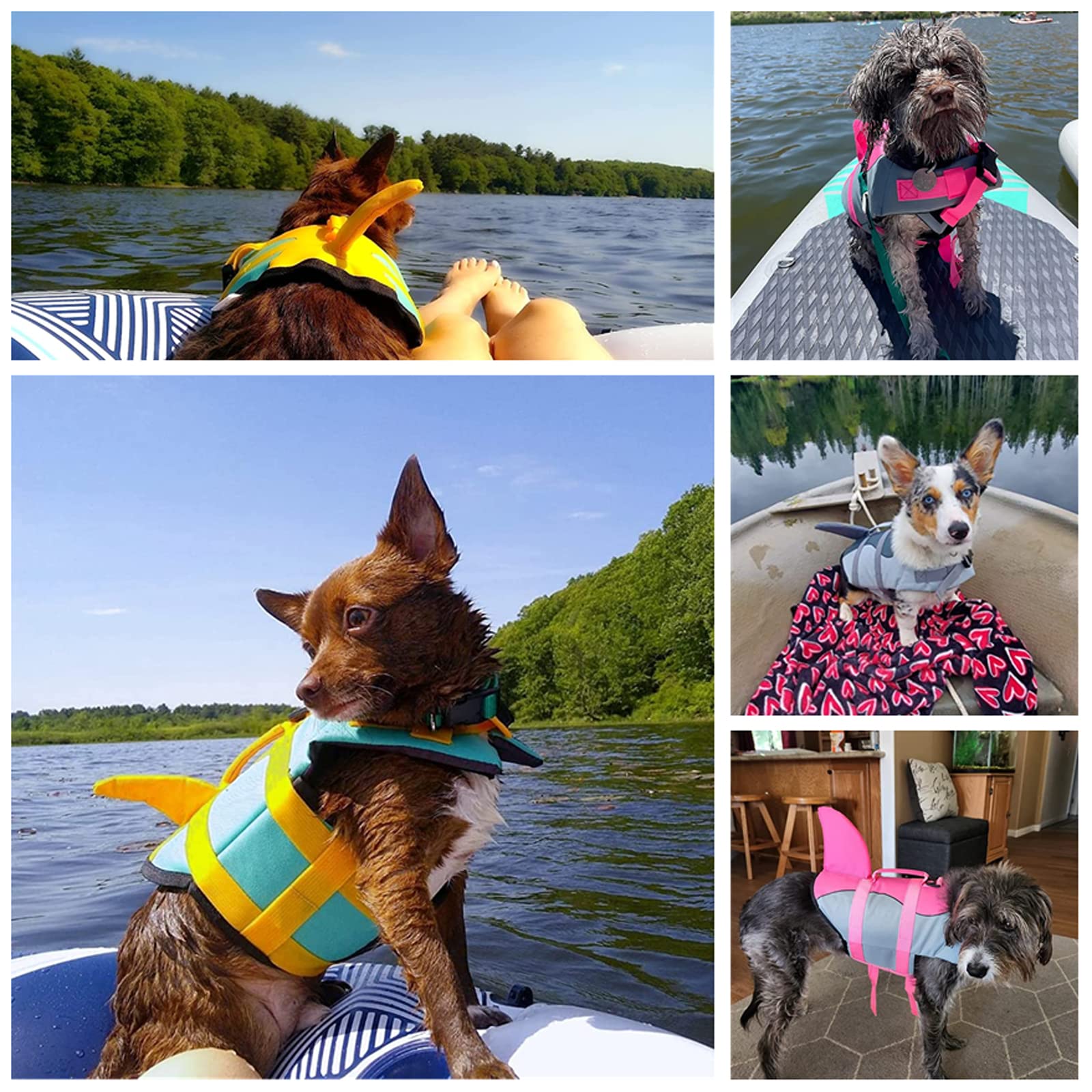 Dogcheer Gilet de sauvetage pour chien requin - Gilet de sauvetage réglable avec poignée de sauvetage - Pour chiens de petite, moyenne et grande taille