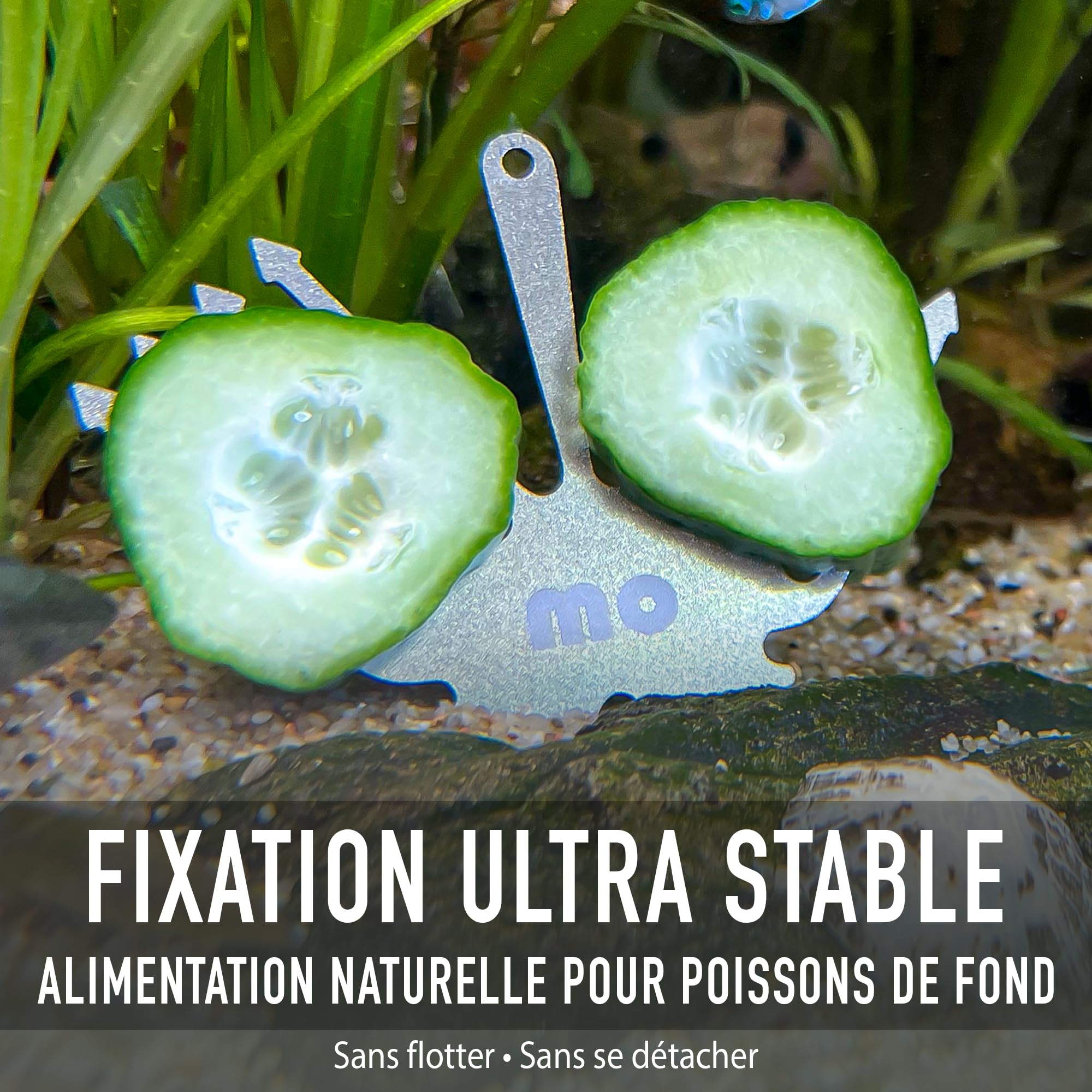 Support Concombre Aquarium INOX – Porte Légumes pour Pleco & Poissons de Fond – Support Nourriture avec Ventouse, Stable, Ne Glisse Pas, Eau Douce & Salée