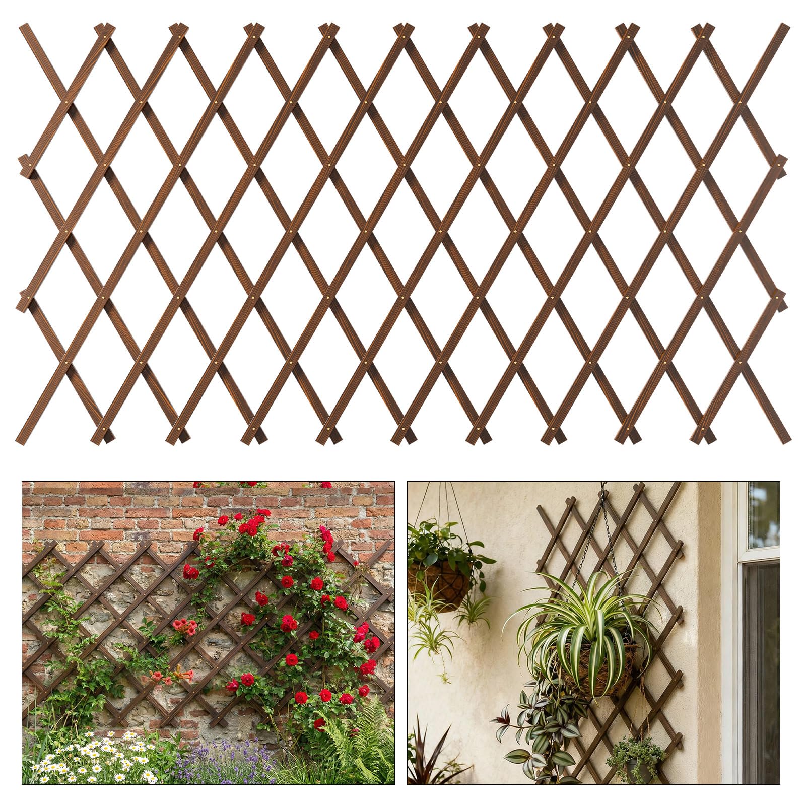Tilinyan Expandable Garden Trellis