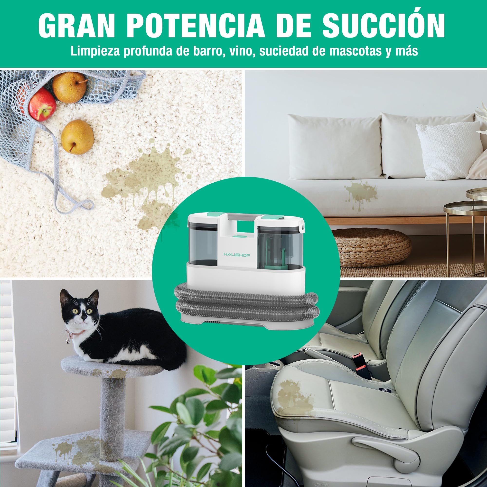 HAUSHOF StainZapper Pro Aspiradora de Agua Tapiceria, 450W Limpiador de Manchas, Limpia Tapicerias con Detergente y Cepillo, Limpiador de Tapicerias para Alfombras, Sofás