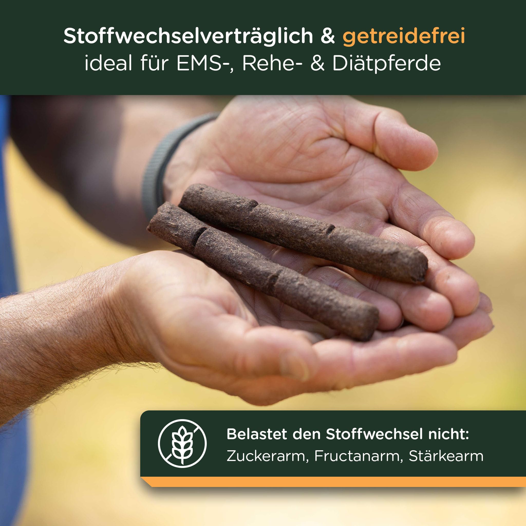 winnies® Trojaner Tabletten-Versteck für Pferde – gebackener Leinsamen-Fenchel-Stick mit Tablettenkammer – stressfrei – getreidefreies Ergänzungsmittel – ideal bei PPID/Cushing – 500 g