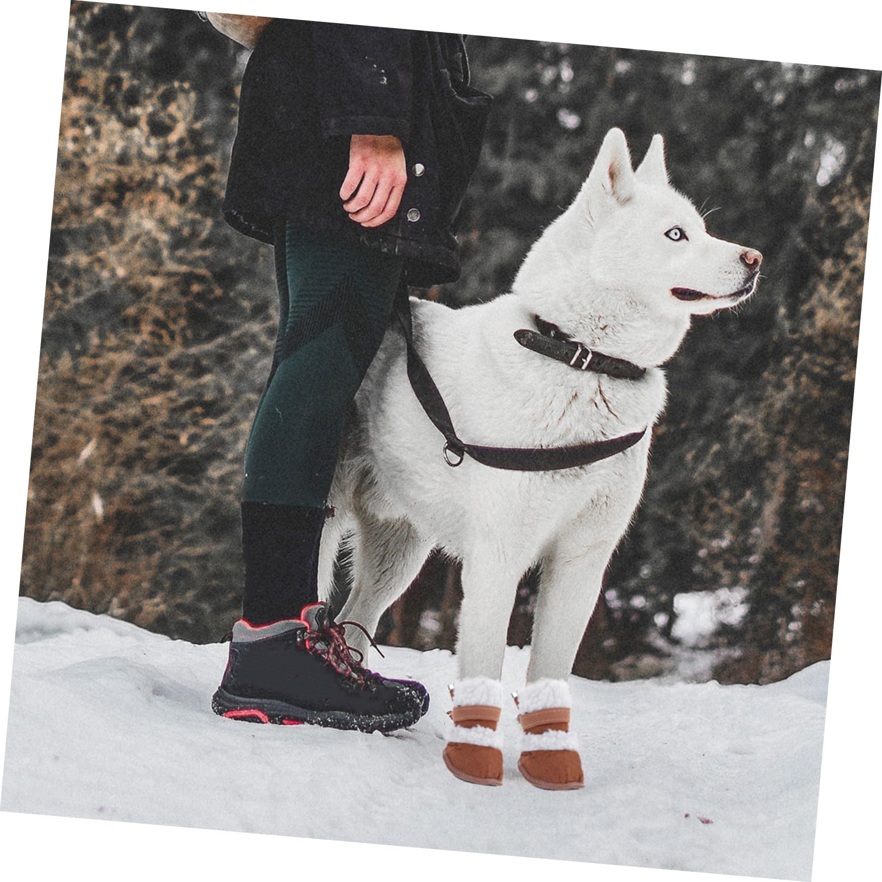 Housoutil 6paia Scarpe Antiscivolo per Cani Stivali Impermeabili e Caldi per Cuccioli per Inverno e attività all Aperto