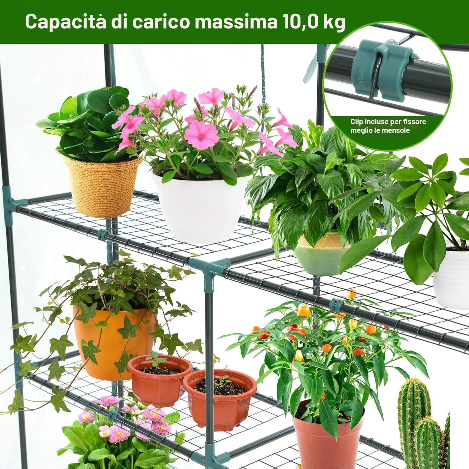 Ohuhu Serra da Giardino Serra Esterni con Copertura in PVC Trasparente Migliorata, Camminare in Serra 3 livelli con 12 Ripiani, Serra per Orto per Piante, Fiori, Verdure Crescita, 145x145x195 cm
