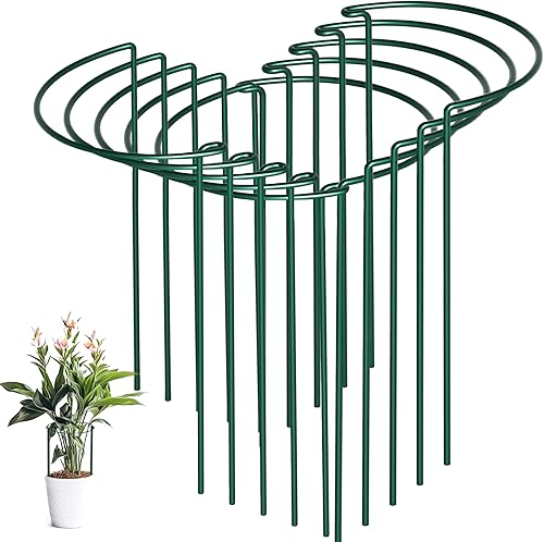 Paquete de 10 estacas de soporte para plantas, jaulas y soportes de peonía de metal de 10 pulgadas de ancho x 24 pulgadas de alto, estacas para