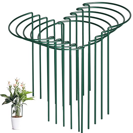 10 Pack Peony Cages and Supports, 10" (W) x 16"(H) Plant Support, Heavy-Duty Metal Plant Support Stakes, Plant Stakes for Outdoor & Indoor Plants, Perfect for Flowers and Vegetable
