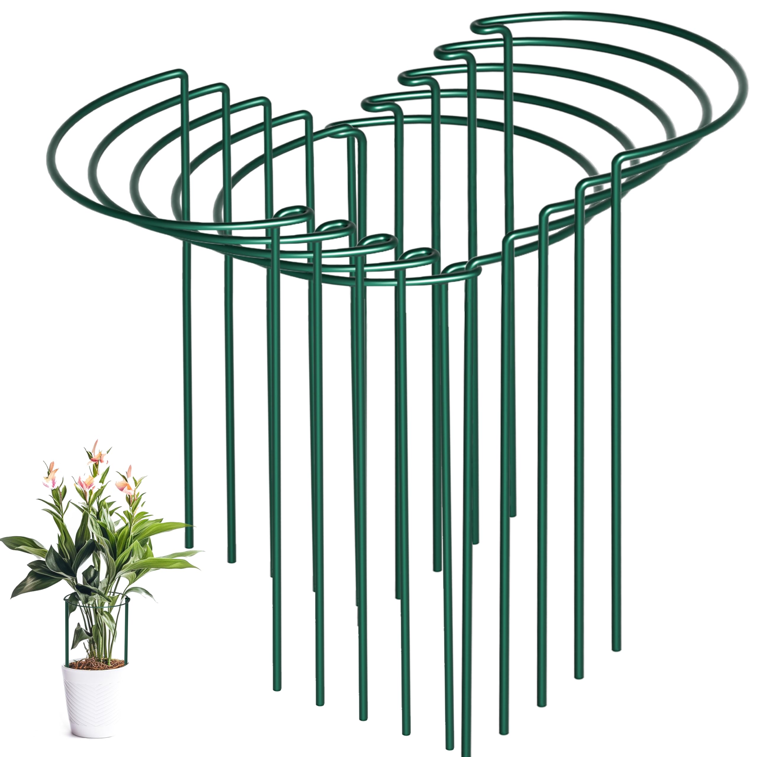 SORANGEUN Peony Cages and Supports